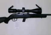 SAVAGE 64 F CAL. 22 LR NUOVA