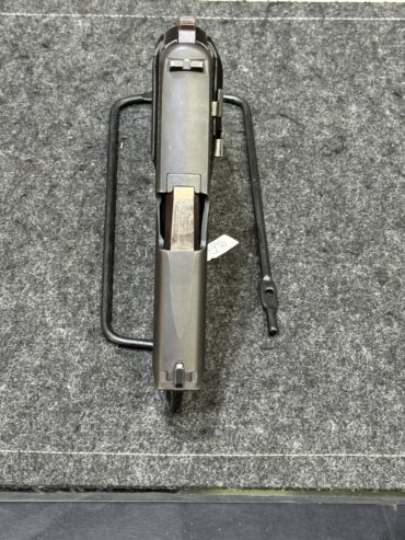 SIG SAUER P228
