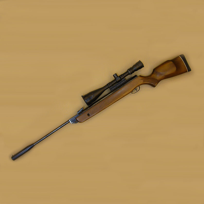 GAMO 1250 Hunter Hi Power