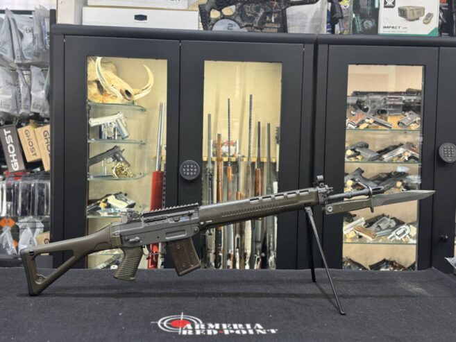 Carabina semiautomatica SIG 550 PE90 cal 223