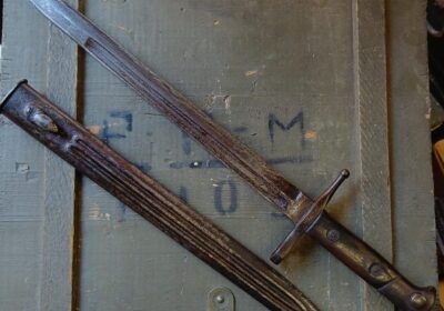 WhatsApp-Image-2026-01-03-at-10.00.28-AM