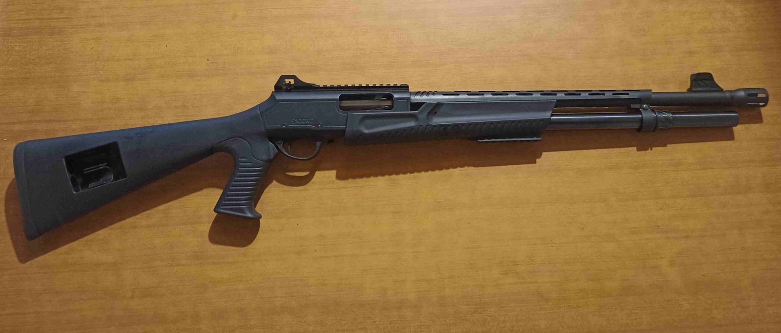 Hatsan Escort MP 12