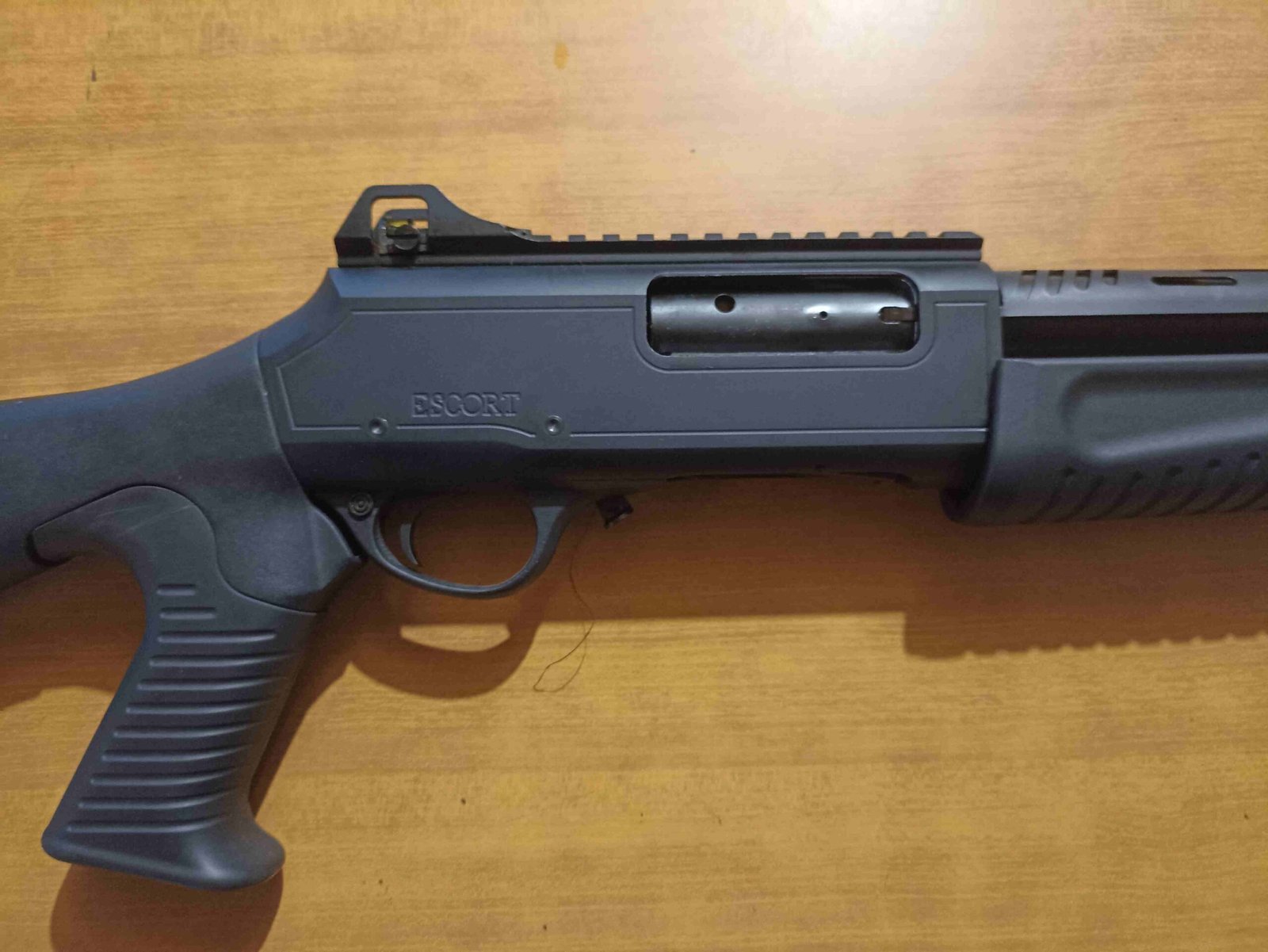 Hatsan Escort MP 12