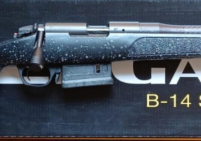 Bergara