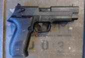 GSG FireFly 22 L.R.