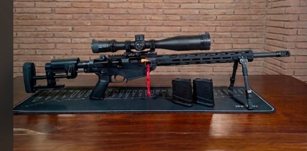 Ruger Precision Rifle 308 win