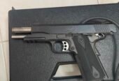 KIMBER CUSTOM TLE/RL II