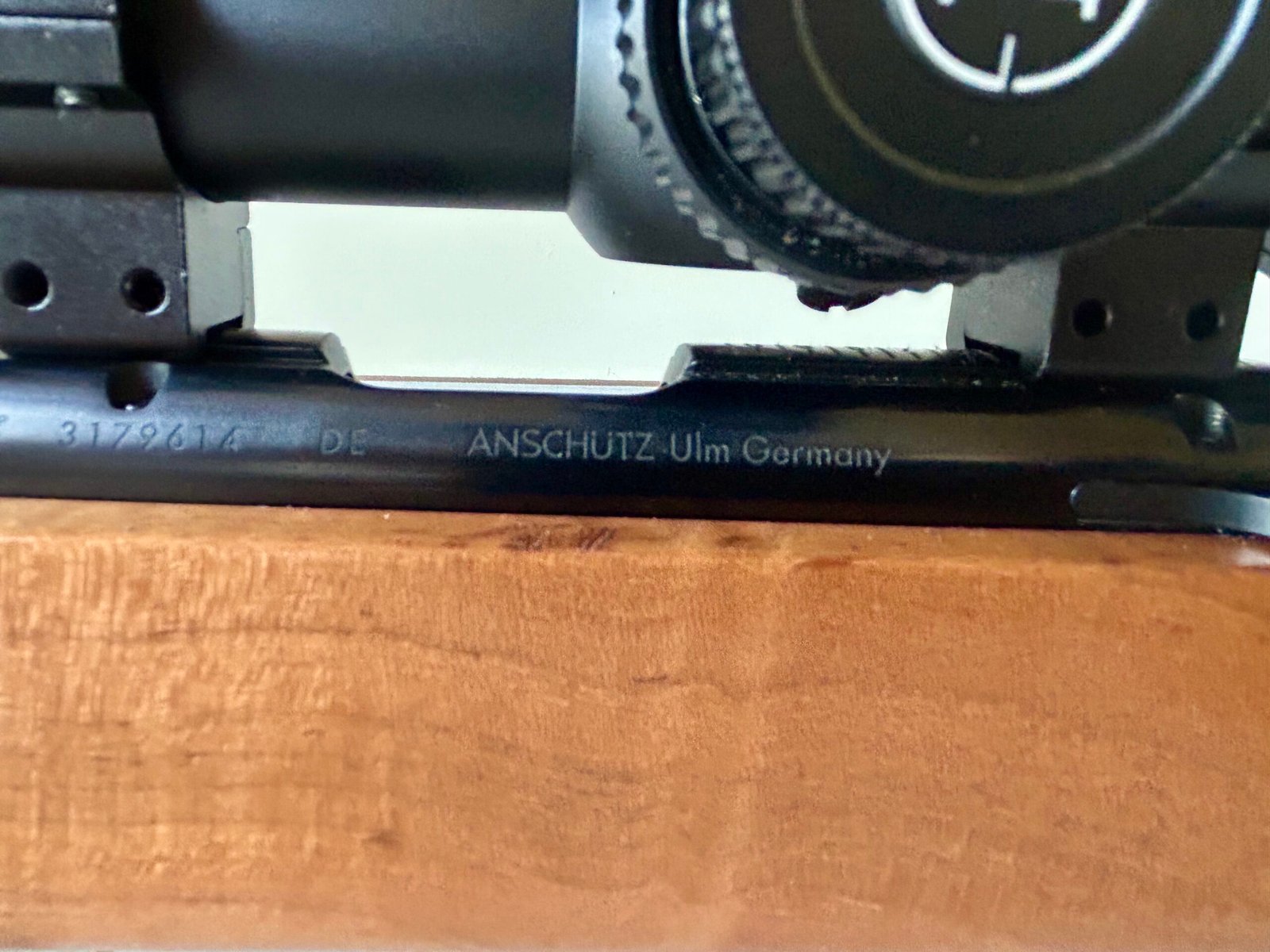 VENDO CARABINA ANSCHUTZ 1913 Cal. 22lr CON CALCIATURA BR-50