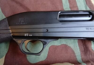 reximex-1