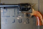 Revolver Tanarmi TA22S RG Piooner (Renato Gamba)