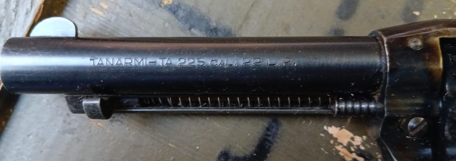 Revolver Tanarmi TA22S RG Piooner (Renato Gamba)