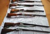 vari fucili e pistola
